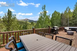 117 Fluorite Ln, Divide, CO 80814 - Photo 3