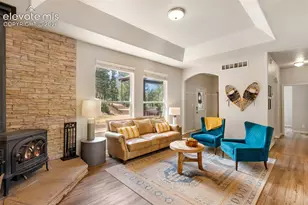 117 Fluorite Ln, Divide, CO 80814 - Photo 15