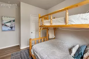 117 Fluorite Ln, Divide, CO 80814 - Photo 29