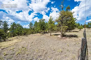 363 Arrowhead Dr, Florissant, CO 80816 - Photo 33