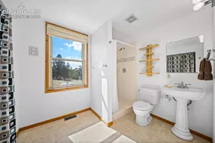 363 Arrowhead Dr, Florissant, CO 80816 - Photo 17