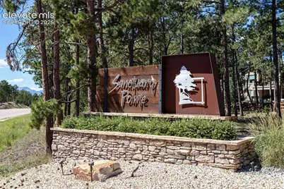 16352 Woodward Terrace, Monument, CO 80132 - Photo 33