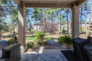 16352 Woodward Terrace, Monument, CO 80132 - Photo 29