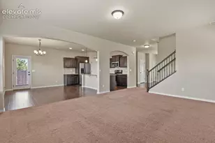7310 Thorn Brush Way, Colorado Springs, CO 80923 - Photo 9