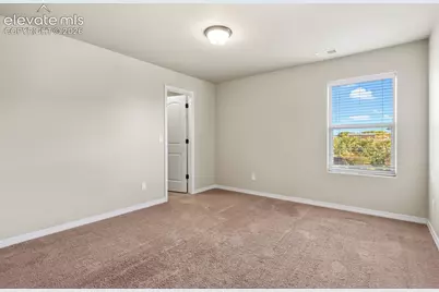 7310 Thorn Brush Way, Colorado Springs, CO 80923 - Photo 29