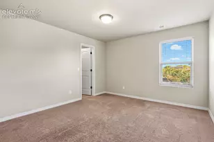 7310 Thorn Brush Way, Colorado Springs, CO 80923 - Photo 29
