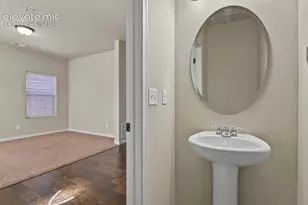 7310 Thorn Brush Way, Colorado Springs, CO 80923 - Photo 7