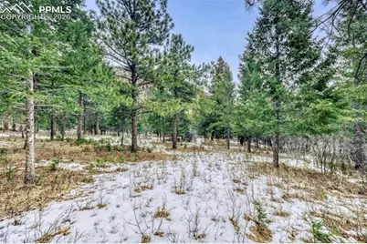 Rock Ridge Road, Palmer Lake, CO 80133 - Photo 13