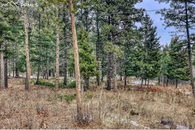 Rock Ridge Road, Palmer Lake, CO 80133 - Photo 17