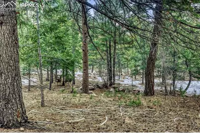 Rock Ridge Road, Palmer Lake, CO 80133 - Photo 3