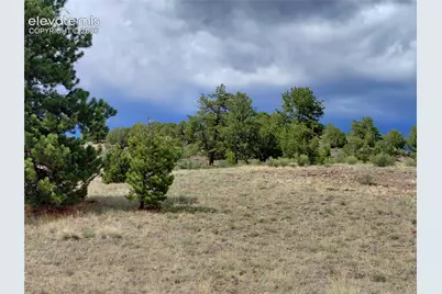 Tract 70 Owls Nest Road, Guffey, CO 80820 - Photo 13