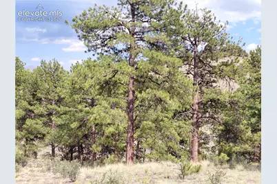 Tract 70 Owls Nest Road, Guffey, CO 80820 - Photo 21