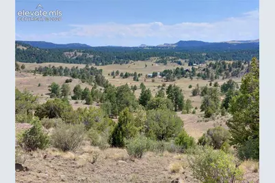 Tract 70 Owls Nest Road, Guffey, CO 80820 - Photo 7