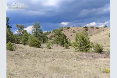 Tract 70 Owls Nest Road, Guffey, CO 80820 - Photo 5