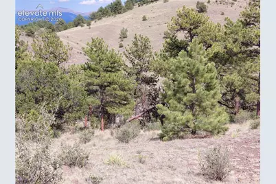 Tract 70 Owls Nest Road, Guffey, CO 80820 - Photo 19
