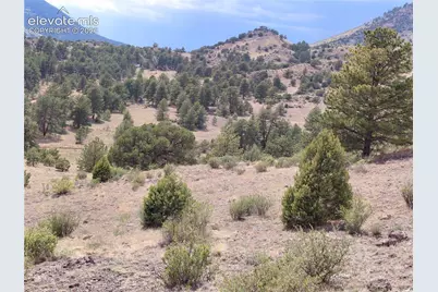 Tract 70 Owls Nest Road, Guffey, CO 80820 - Photo 17