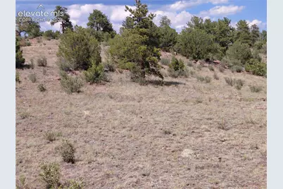 Tract 70 Owls Nest Road, Guffey, CO 80820 - Photo 3
