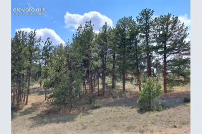 Tract 70 Owls Nest Road, Guffey, CO 80820 - Photo 25