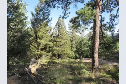 213 Coffee Pot Road, Manitou Springs, CO 80829 - Photo 9