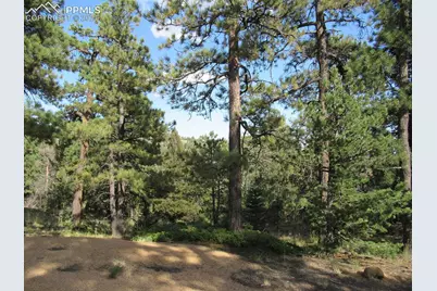 213 Coffee Pot Road, Manitou Springs, CO 80829 - Photo 7