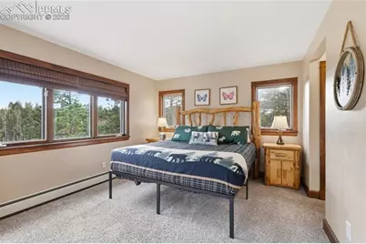 57 Trout Creek Circle, Divide, CO 80814 - Photo 25