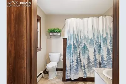 57 Trout Creek Circle, Divide, CO 80814 - Photo 17