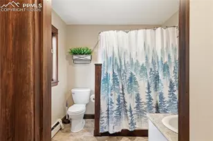 57 Trout Creek Cir, Divide, CO 80814 - Photo 17