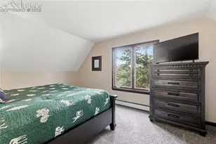 57 Trout Creek Cir, Divide, CO 80814 - Photo 19