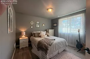 24 Bighorn Cir, Florissant, CO 80816 - Photo 27