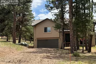 24 Bighorn Cir, Florissant, CO 80816 - Photo 9
