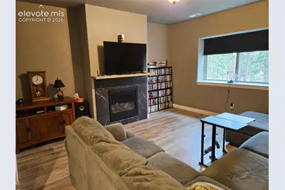 24 Big Horn Circle, Florissant, CO 80816 - Photo 19