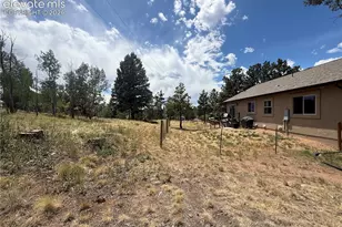 24 Bighorn Cir, Florissant, CO 80816 - Photo 7