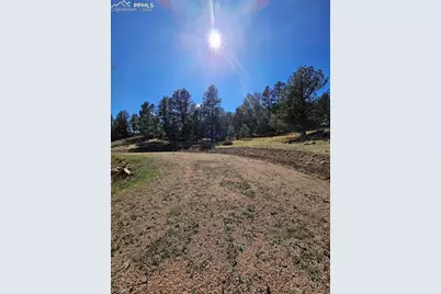 717 Canyon Drive, Florissant, CO 80816 - Photo 9