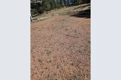 717 Canyon Drive, Florissant, CO 80816 - Photo 21