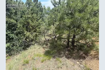 358 Sugarloaf Road, Manitou Springs, CO 80829 - Photo 13