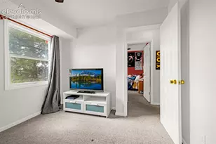 313 Raspberry Ln, Monument, CO 80132 - Photo 19