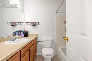 313 Raspberry Ln, Monument, CO 80132 - Photo 21