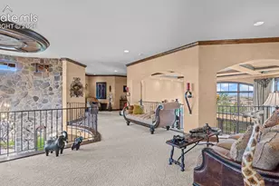 13684 Random Ridge View, Colorado Springs, CO 80921 - Photo 41