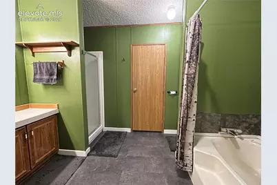 45 La Abu Trail, Florissant, CO 80816 - Photo 27