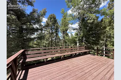 45 La Abu Trail, Florissant, CO 80816 - Photo 11