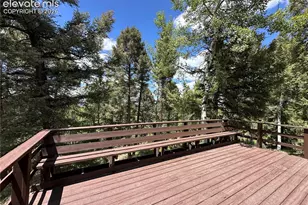 45 La Abu Trail, Florissant, CO 80816 - Photo 11