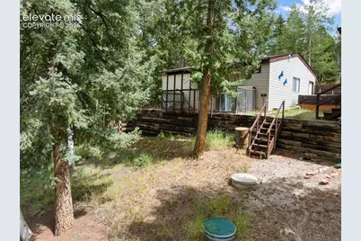 45 La Abu Trail, Florissant, CO 80816 - Photo 9