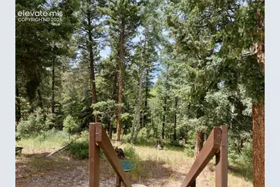 45 La Abu Trail, Florissant, CO 80816 - Photo 7