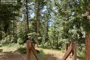 45 La Abu Trail, Florissant, CO 80816 - Photo 7