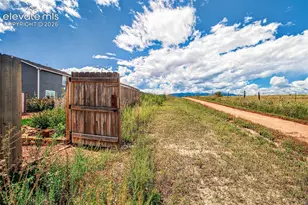 8746 Bittercress Dr, Colorado Springs, CO 80925 - Photo 47