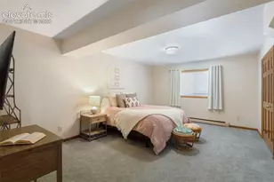 750 Tyco Ct, Colorado Springs, CO 80906 - Photo 39