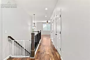 8238 Hollygrape Ln, Colorado Springs, CO 80927 - Photo 3