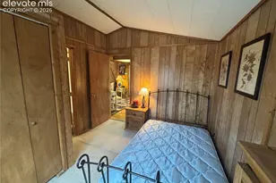 15 Dogie Trail, Lake George, CO 80827 - Photo 23
