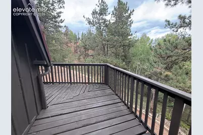144 Dandy Jim Drive, Cripple Creek, CO 80813 - Photo 23