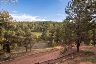 144 Dandy Jim Dr, Cripple Creek, CO 80813 - Photo 25